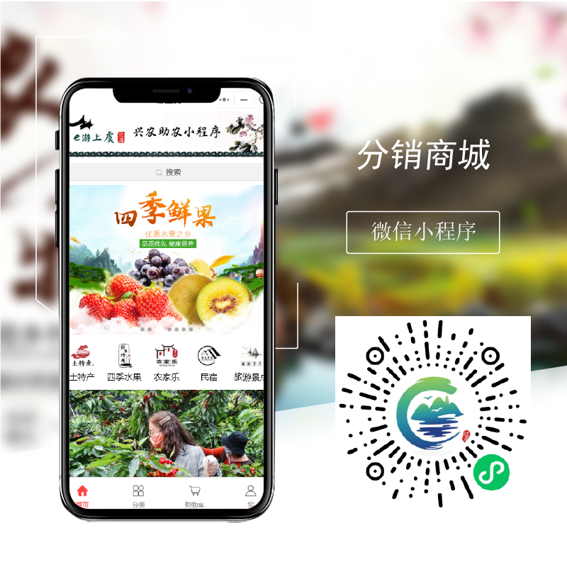 分销商城小程序(图1)